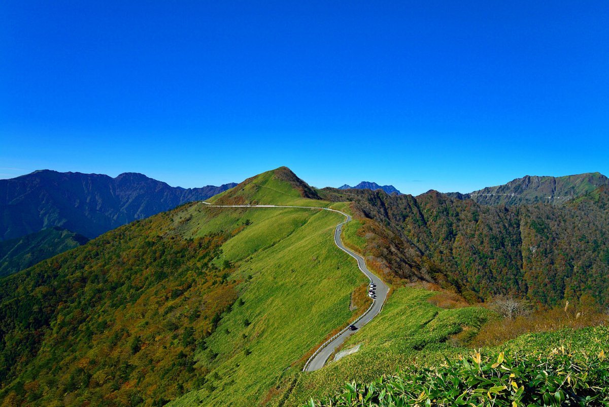 ⛰️ 항아리 숲(카메가모리) 이미지 1